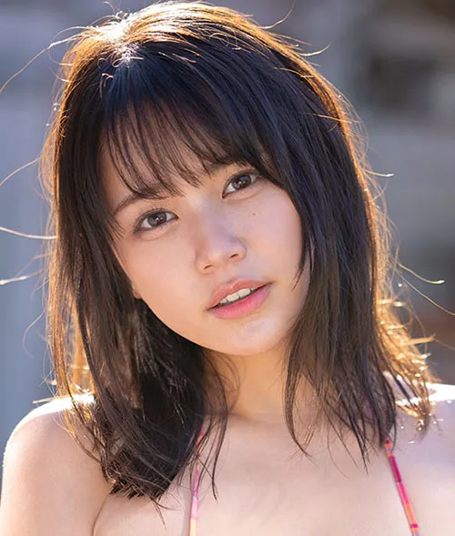 回声调查组 悬疑电视剧全集